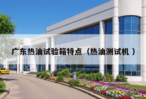 廣東熱油試驗箱特點（熱油測試機 ）