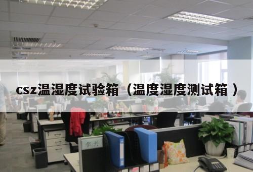 csz溫濕度試驗箱（溫度濕度測試箱 ）