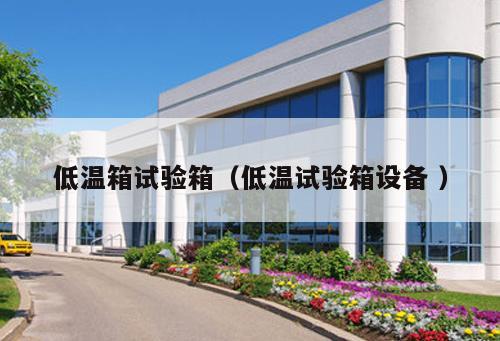 低溫箱試驗箱（低溫試驗箱設備 ）