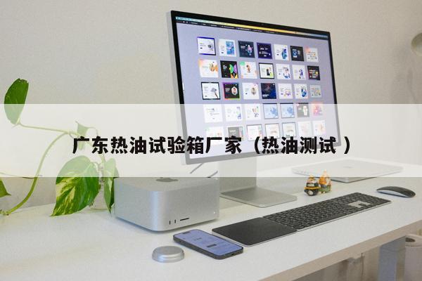 廣東熱油試驗箱廠家（熱油測試 ）
