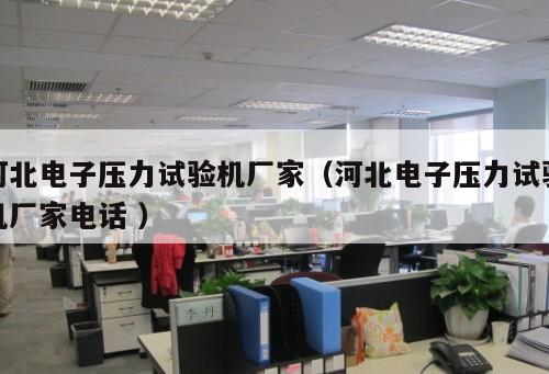 河北電子壓力試驗機廠家（河北電子壓力試驗機廠家電話 ）