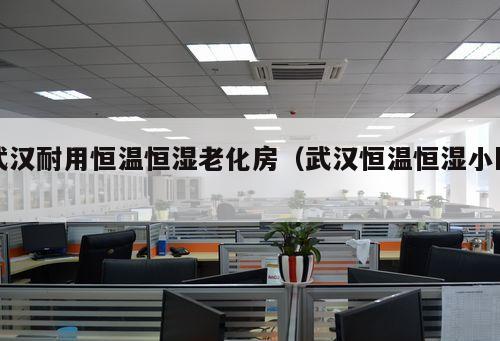 武漢耐用恒溫恒濕老化房（武漢恒溫恒濕小區 ）