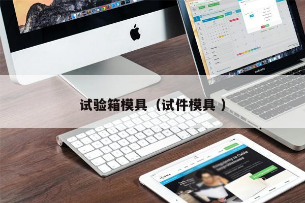 試驗(yàn)箱模具（試件模具 ）